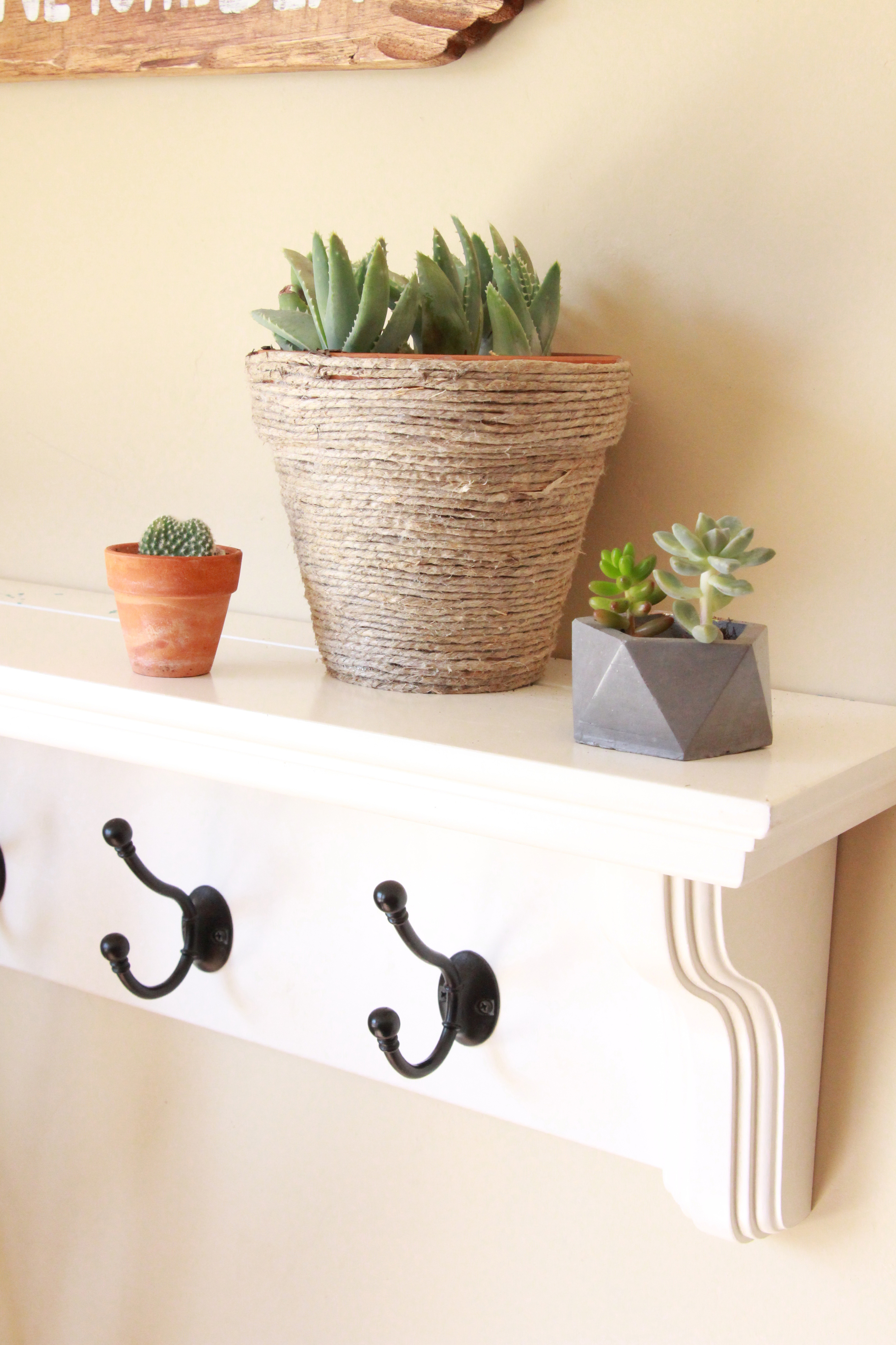 concrete-geometric-succulent-pot-seaside-succulents-a-garden-tour-needlesandleaves_net.jpg